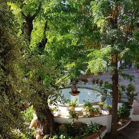 Patio Andaluz Siglo XVI Apartment Seville Exterior photo